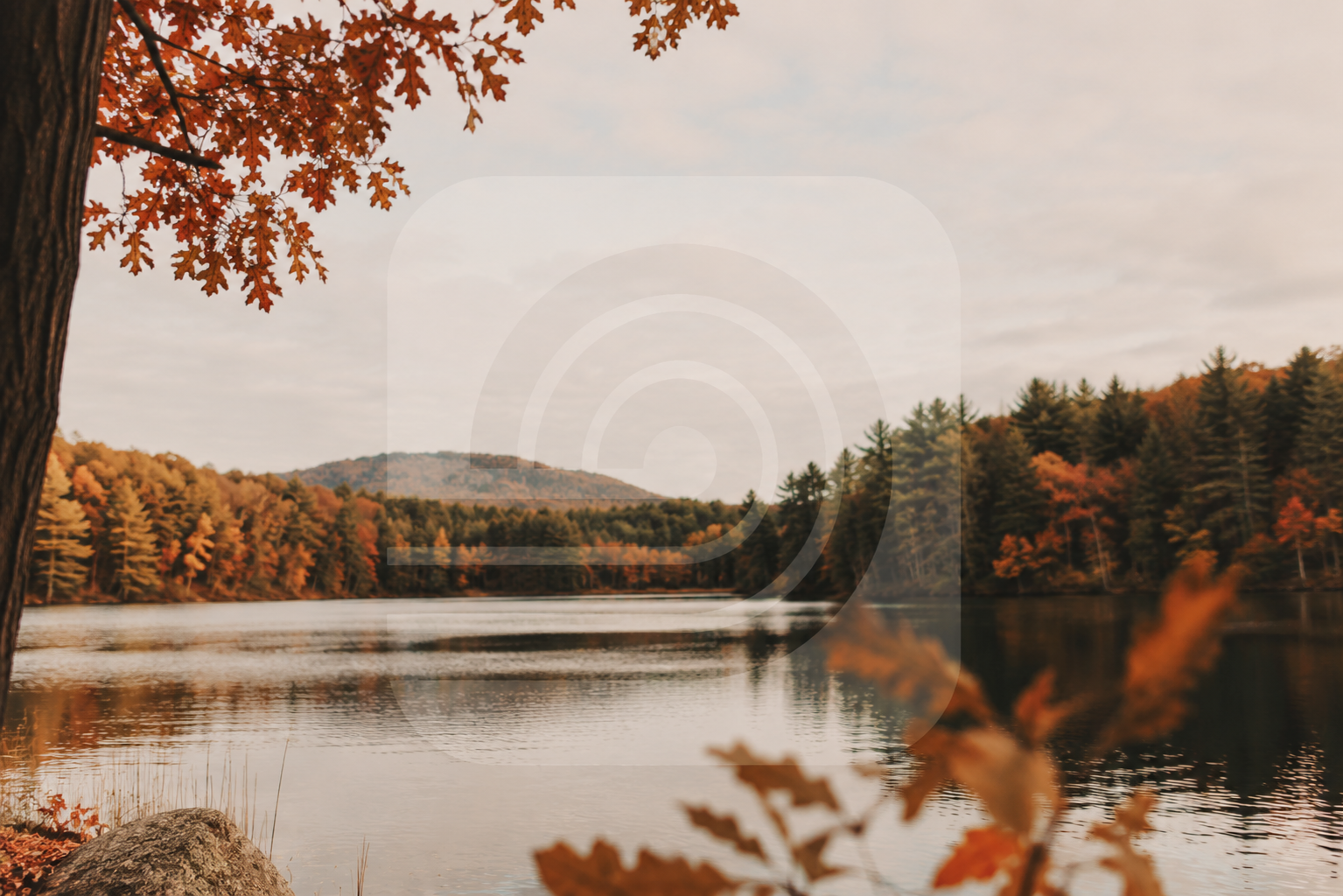 The Seasons Keep Moving